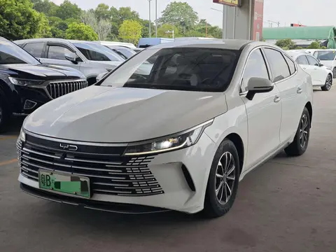 BYD Destroyer 05 2024