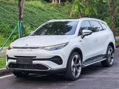Denza X 2020