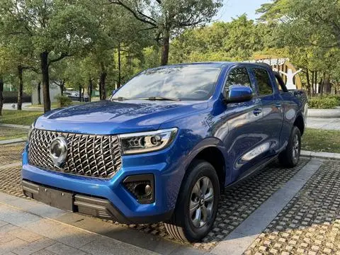Great Wall Poer 2023