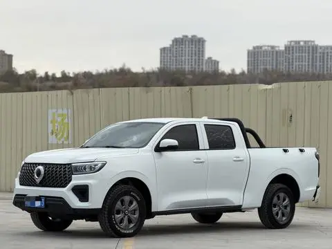 Great Wall Poer 2023