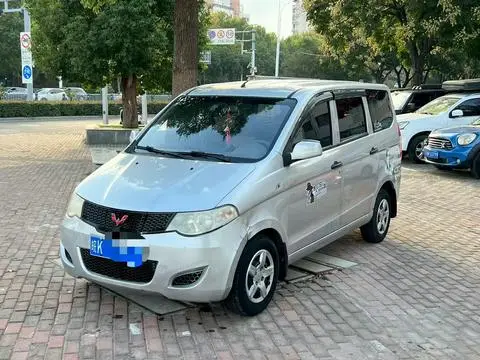 Wuling Hongguang 2010