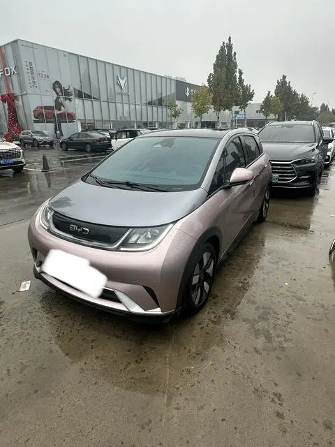 BYD Dolphin 2024