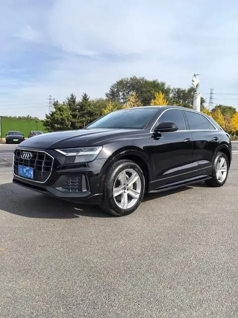 Audi Q8 2019