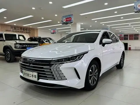 BYD Destroyer 05 2024