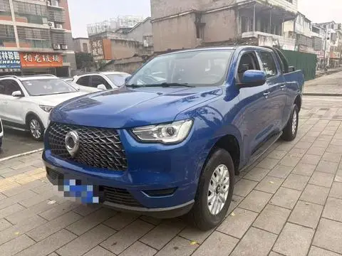 Great Wall Poer 2019