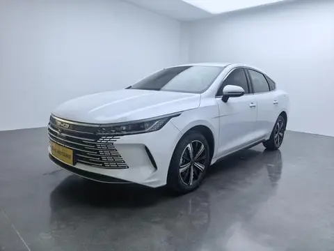 BYD Destroyer 05 2024