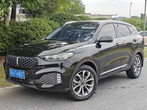 Wey VV6 2020