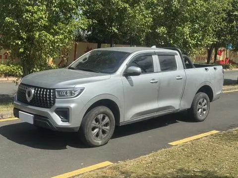 Great Wall Poer 2024