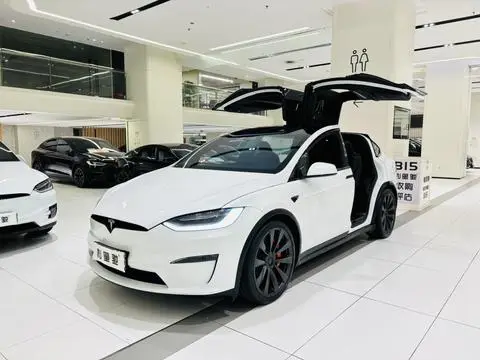 Tesla Model X 2023