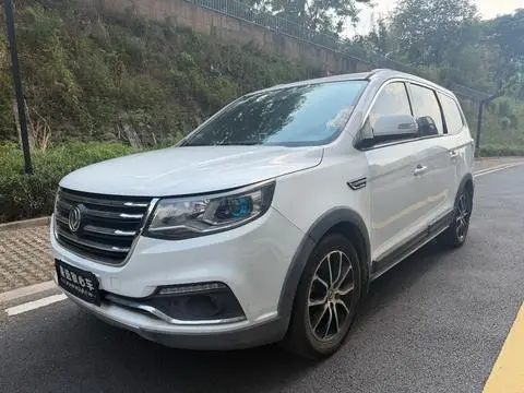 Forthing SX6 2016