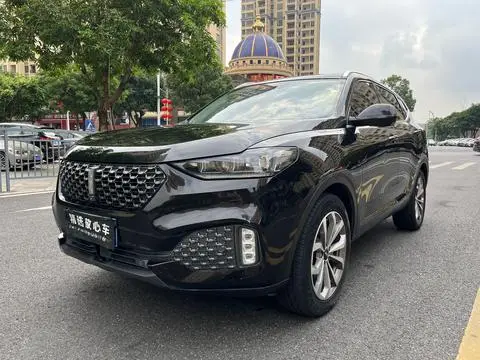 Wey VV6 2020