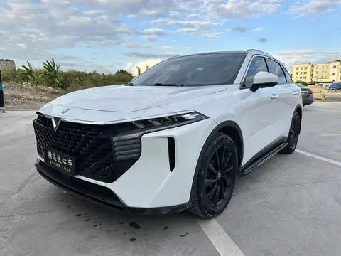 Venucia V 2022