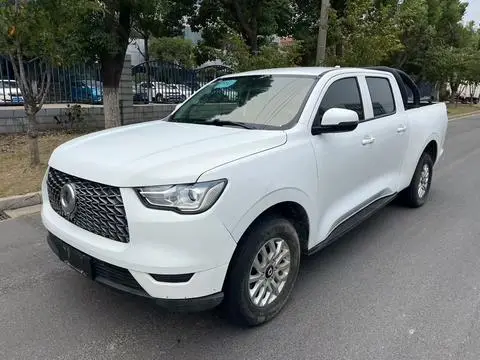 Great Wall Poer 2019