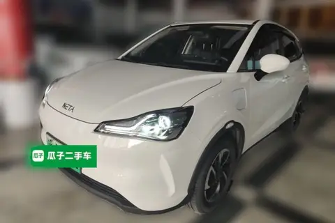NETA V 2021