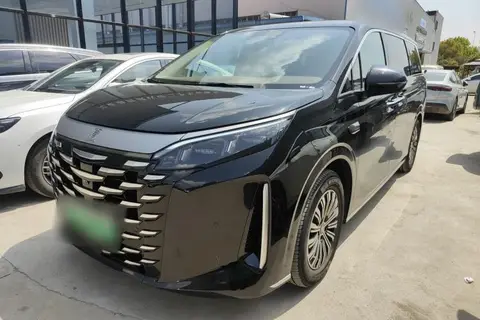 BYD Xia 2024