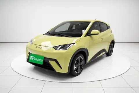 BYD Seagull 2024