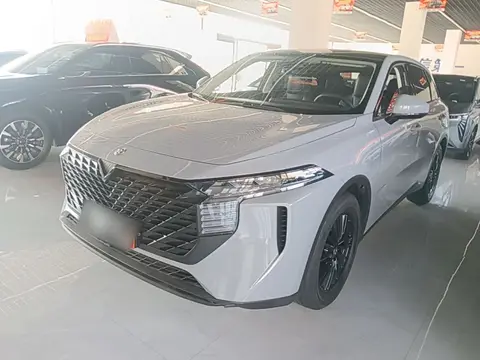 Venucia V 2021