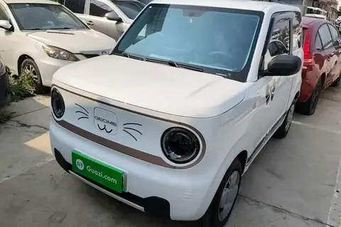 Geely Panda 2024