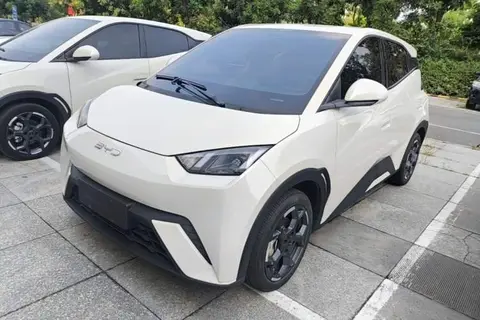BYD Seagull 2024