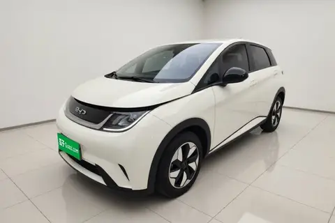 BYD Dolphin 2024