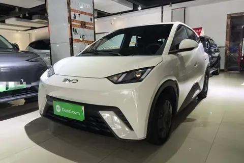 BYD Seagull 2024
