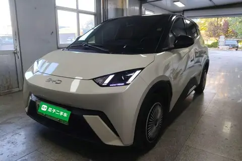 BYD Seagull 2024