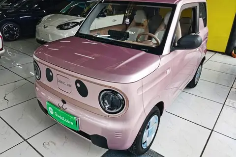 Geely Panda 2024