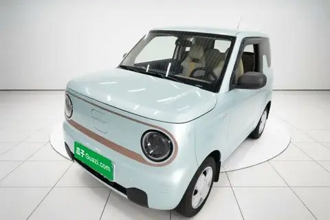 Geely Panda 2024