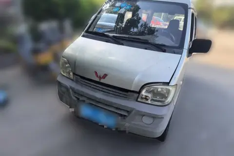 Wuling Zhiguang 2013