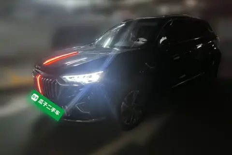 Hongqi HS5 2021