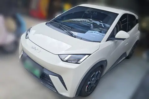 BYD Seagull 2024