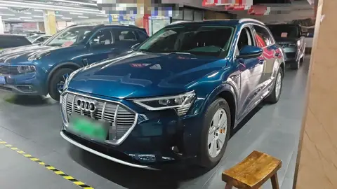 Audi e-tron 2019