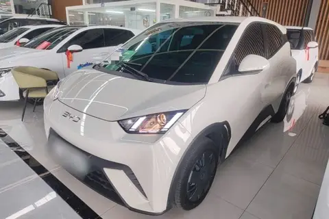 BYD Seagull 2024