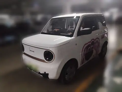 Geely Panda 2024