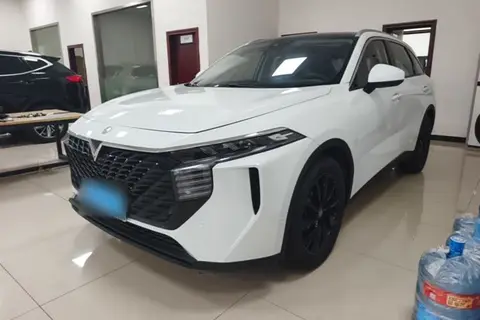 Venucia V 2021