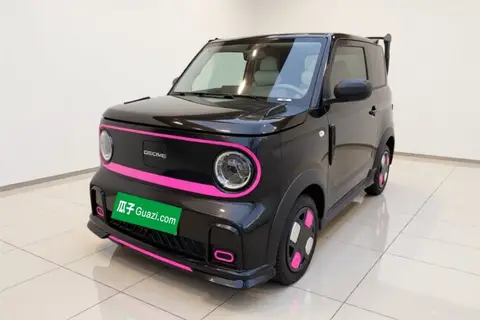 Geely Panda 2024