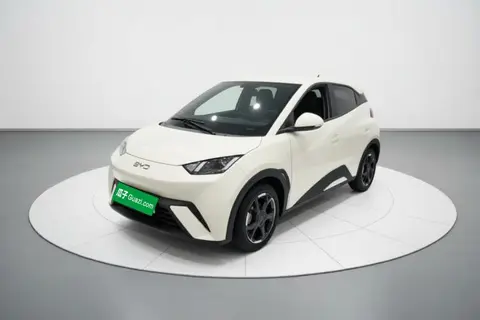 BYD Seagull 2024