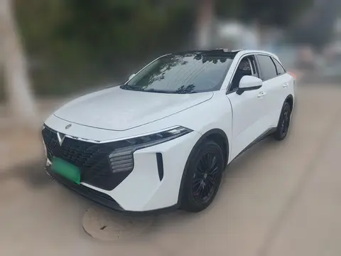 Venucia V 2022