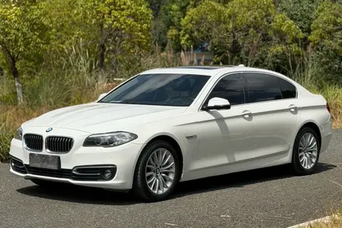 BMW 5 Series 2014