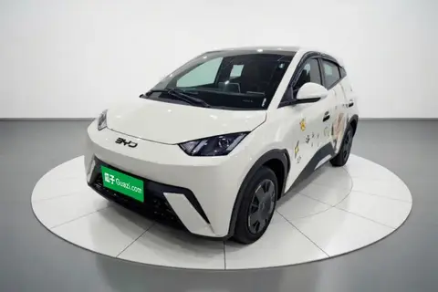 BYD Seagull 2024