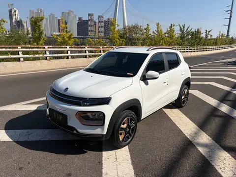 Dongfeng Nammi Box 2024