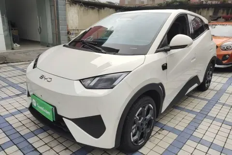 BYD Seagull 2025