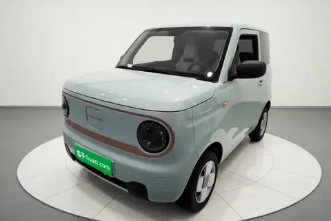 Geely Panda 2024