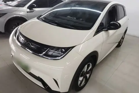 BYD Dolphin 2024