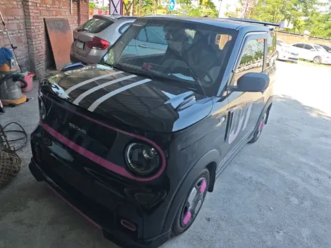 Geely Panda 2024