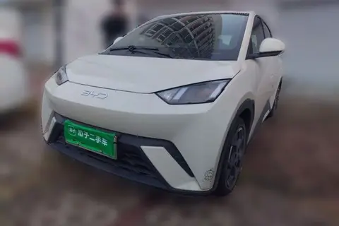 BYD Seagull 2024