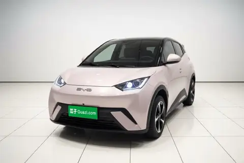 BYD Seagull 2024
