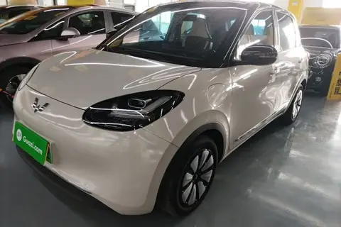 Wuling Bingo 2024