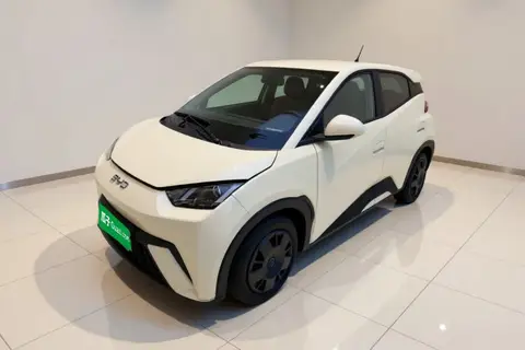 BYD Seagull 2024