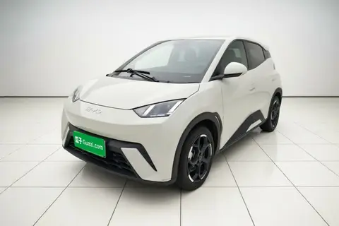 BYD Seagull 2024